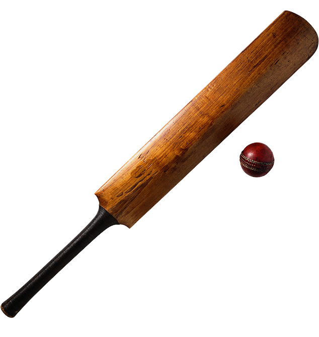 Bat